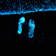 Illustration for article titled Worlds most beautiful beach glows like millions of stars at night